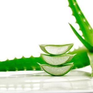 BAUME LÈVRES PROTECTEUR <br>Aloe vera Vitamine E Huile de Coton Baumes à lèvres 7